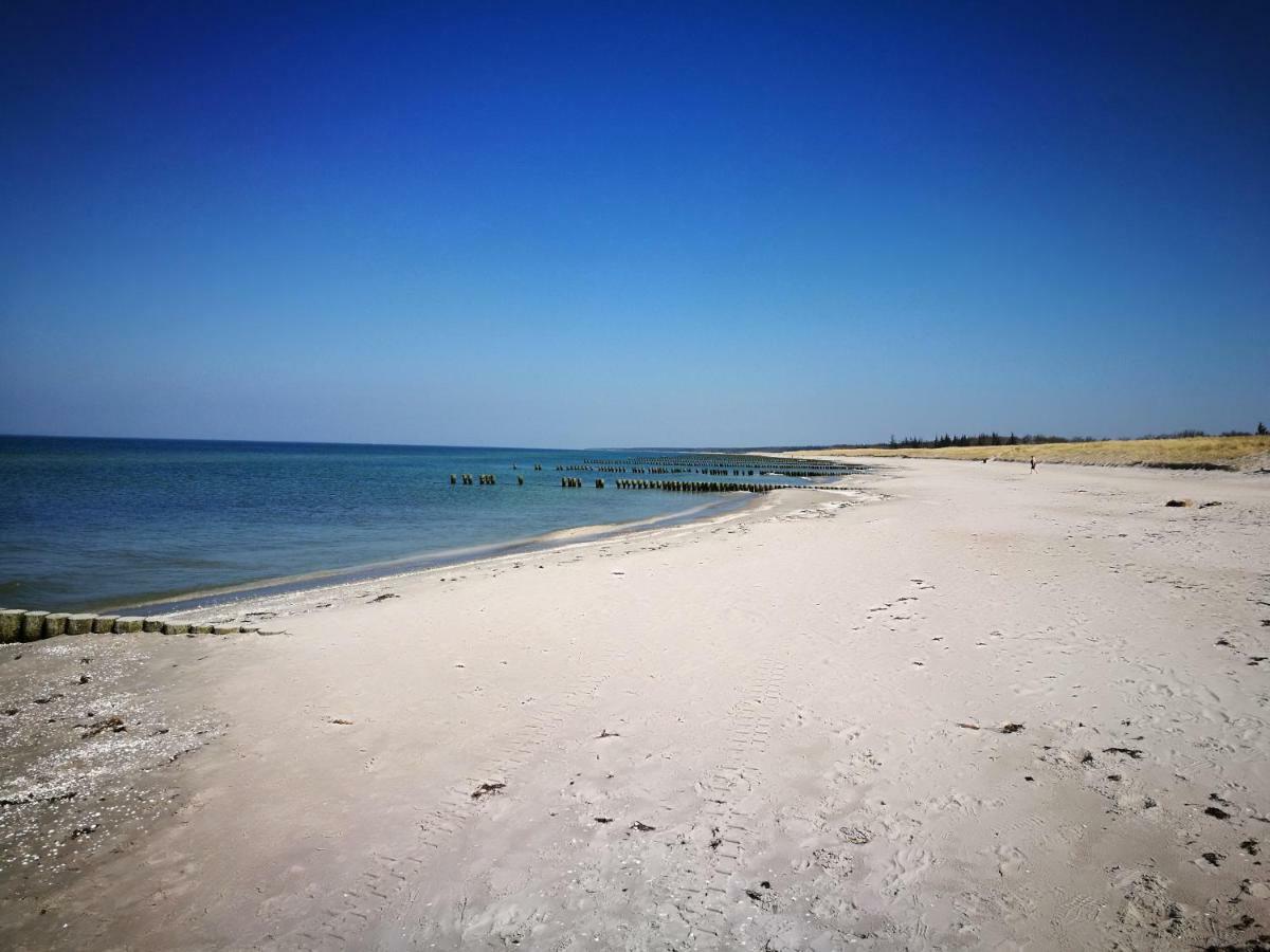 Darsser Strandgut - Haus Ahrenshooper Holz Apartment Ahrenshoop