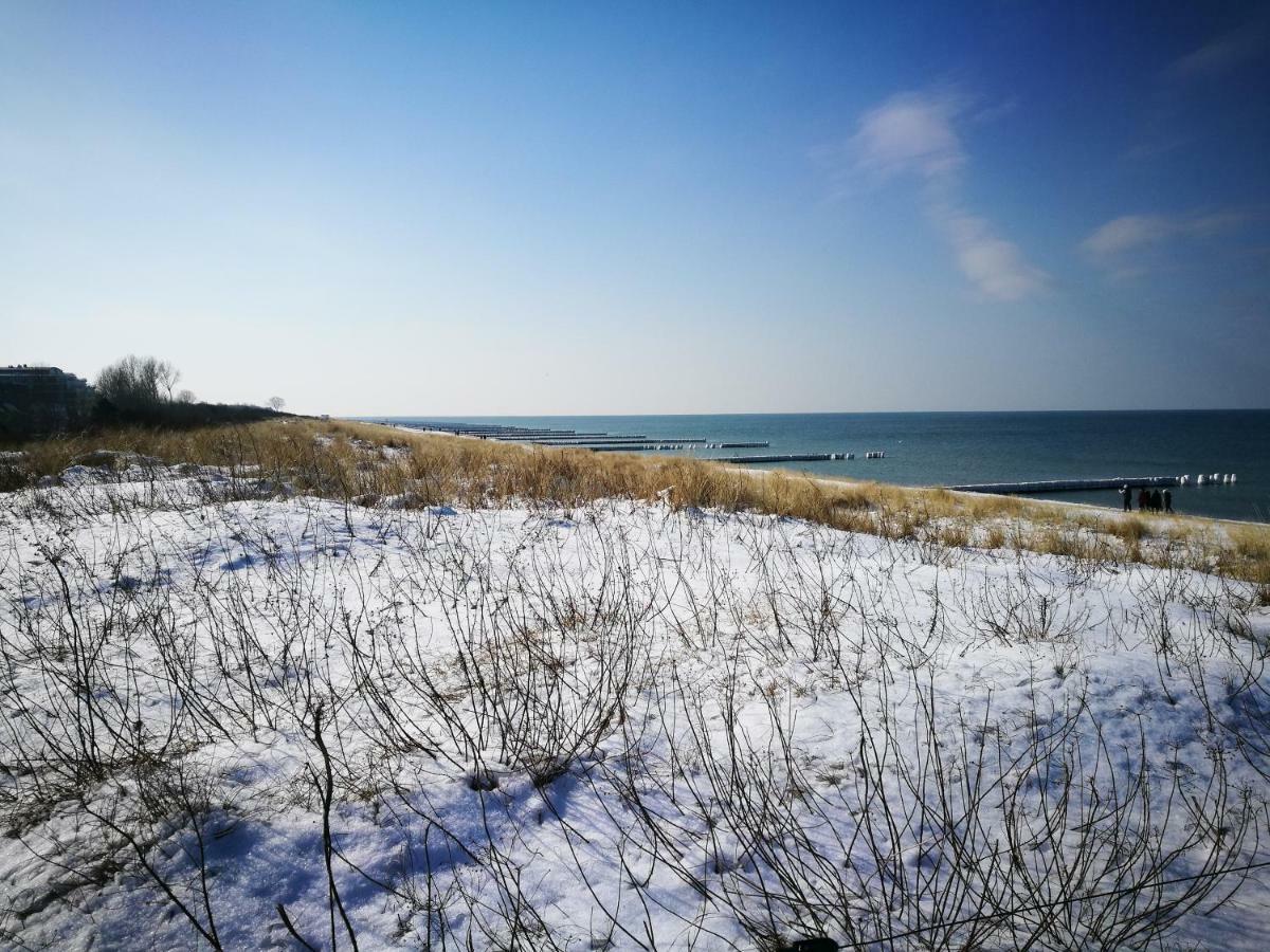 Apartment Darsser Strandgut - Haus Ahrenshooper Holz