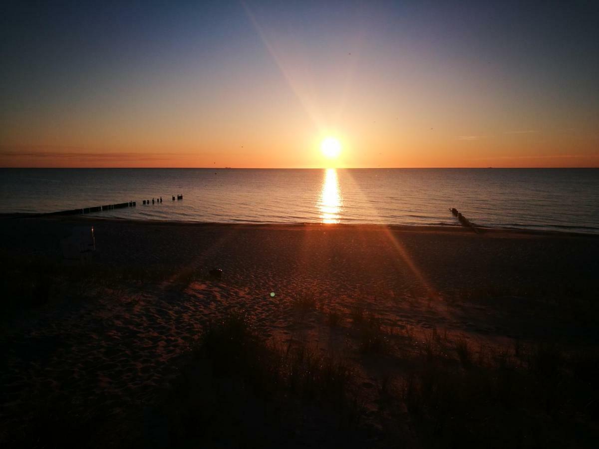 Darsser Strandgut - Haus Ahrenshooper Holz *
