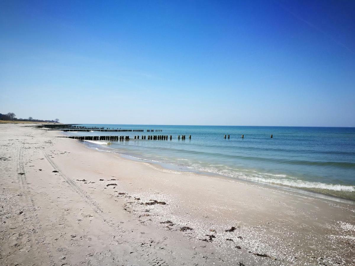Darsser Strandgut - Haus Ahrenshooper Holz Apartment *